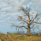 Illustration for article titled iThe Witcher 3: Wild Hunt: /iThe iKotaku/i Review